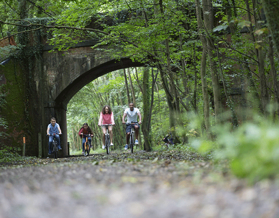 Sustainable Transport Solutions
